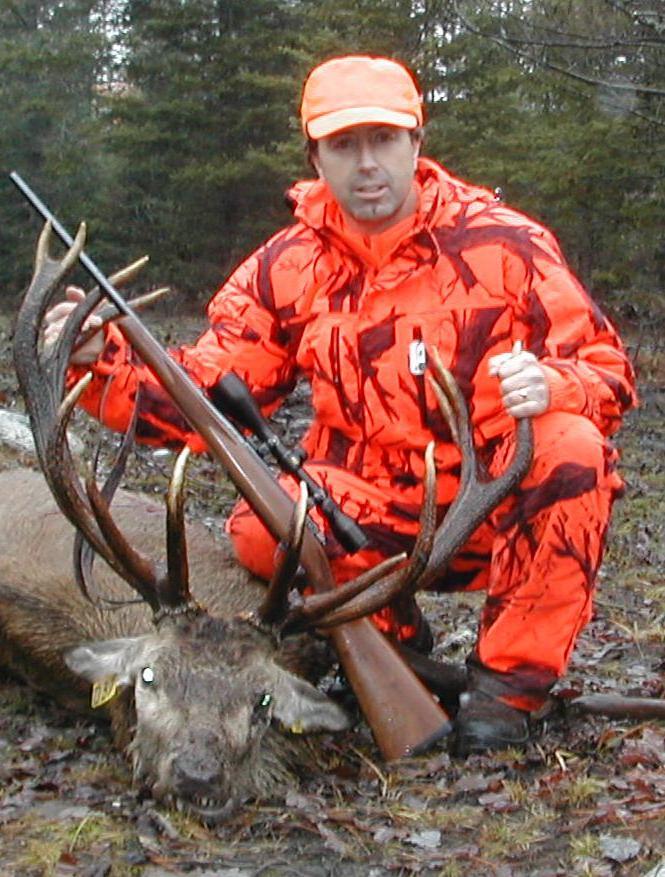 Darryl's RedStag Darryl's RedStag
